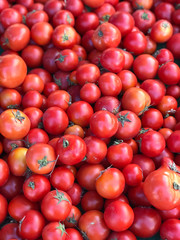 Ripe, fresh tomoatoes are shown on display in a farmers' market produce bin in a vertical view.