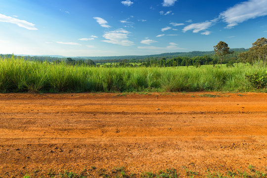 Dirt roadside view with the meadow