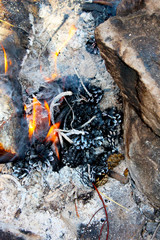A beautiful bonfire among the stones. Fire from spruce and pine cones close-up. Burning cones on fire close up. Vertical photo.