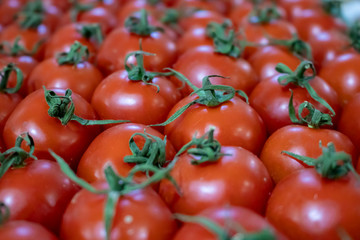 Tomatoes.
