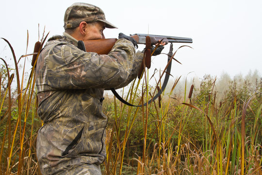 hunter aiming a shotgun among cattail