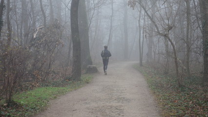 Misty morning in Schoenbrunn park in Vienna