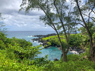 Fototapeta na wymiar Hawaiian Beach on the Road to Hana