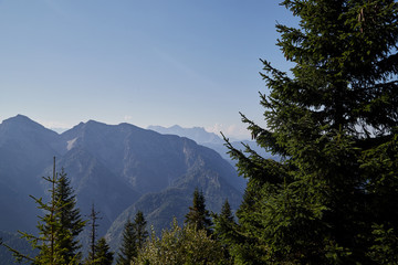 Mountain peaks visible through the trees on a good summer day