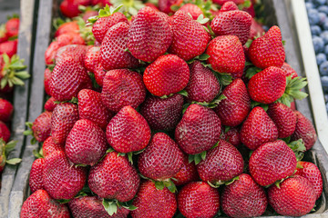 Fresh ripe perfect strawberry - Food Background