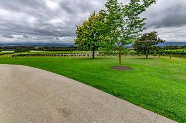 Storm Over Garden