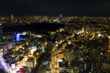 東京夜景　渋谷から望む　新宿高層ビル群と代々木公園　2019年12月