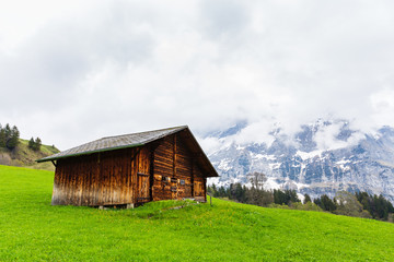 Wooden house in a forest with mountains background.