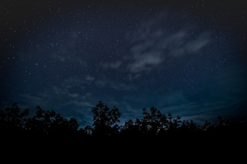 Sternenhimmel mit Baum © Digitalpress