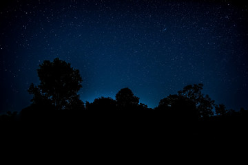 Sternenhimmel mit Baum © Digitalpress