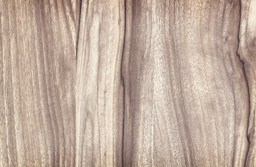 Fototapeta premium wood