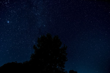 Sternenhimmel mit Baum © Digitalpress