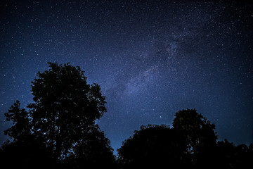 Sternenhimmel mit Baum © Digitalpress
