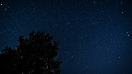 Sternenhimmel mit Baum © Digitalpress
