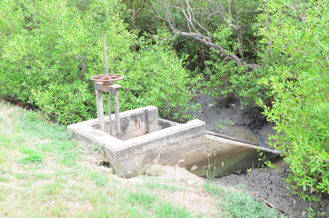 Grunge floodgate in mangrove forest