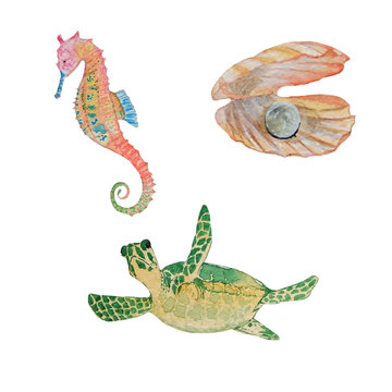Watercolor sea inhabitants: sea turtle, seahorse, shell with a pearl. Perfect for marine design. Postcards, invitations, photo albums, scrapbooking and other applications.