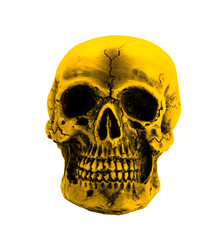golden skull isolate on white background with clipping path
