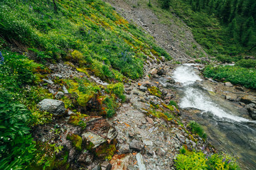 Wonderful scenic landscape with rich flora near mountain river. Highland scenery with fresh greenery, thick mosses and big stones near small river. Clear water stream in mountain creek with rapids.
