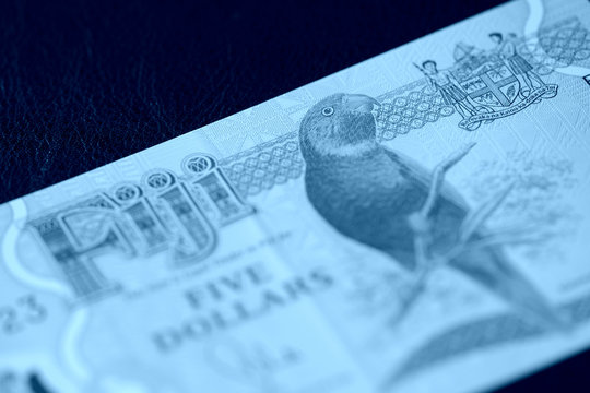 Five Fijian dollars banknote on a dark background close up. Money background blue color toned