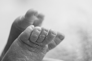Newborn Baby's feet. legs massage concept of childhood, health care, IVF, hygiene