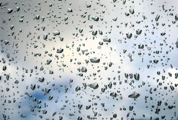 water drops on grass and sky background