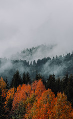 Hills during sunrise in mountain valley. Beautiful natural landscape