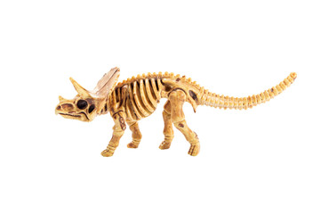 Obraz na płótnie Canvas bone of Triceratops dinosaur plastic toy isolated white background