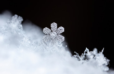 winter card, crystals of snow