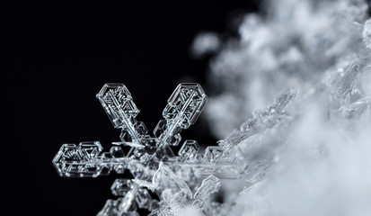 winter card, crystals of snow