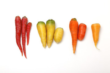 白地にカラフルなニンジン