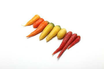 白地にカラフルなニンジン