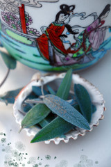 gesundheit mit salbei