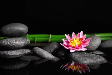 Fotobehang Beautiful zen garden with lotus flower and pond on black background. Space for text © New Africa