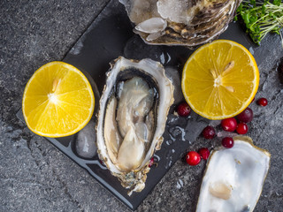 fresh oysters in stone slate with ice, cranberries, lemon slices, delicatessen expensive food, rich in zinc, antioxidants, vitamin