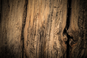 Surface of old textured wooden board for background. Toned