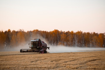 Harvester in the field. Evening.