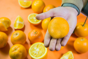 person placing  fresh juicy and pulpy orange in hand top view with random orange in place in the background