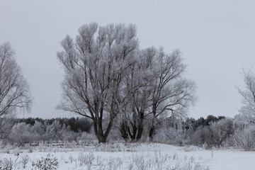 Beautiful winter landscape in russian province