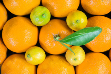 top angle view of a orange with a leaf surround by pulpy fresh oranges and fresh lemon for orange and lemon products design and business