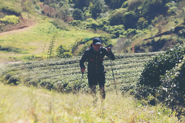 Runners. Young people  trail running on a mountain path. Adventure trail running on a mountain. Athletic attractive people running enjoying the sun exercising their healthy lifestyle.