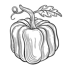 pumpkin hand drawn engraved sketch drawing vector