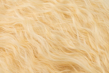 Blond wavy hair pattern. Top view.
