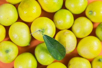 top view of bunch of fresh and pulpy lemons with a lemon leaf for lemon products and lemon business website and social media marketing design
