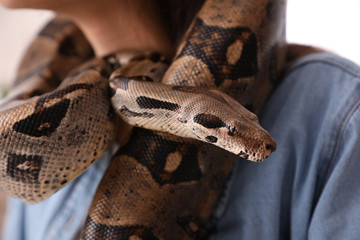 Woman with her boa constrictor at home, closeup. Exotic pet