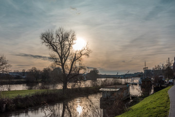 Fototapeta premium the setting winter sun over the Main River near Frankfurt Hoechst, Germany