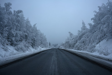 Winter country road. Frozen forest.