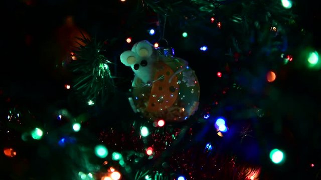 New year christmass tree ball rat with cheese inside in lights video 4k
