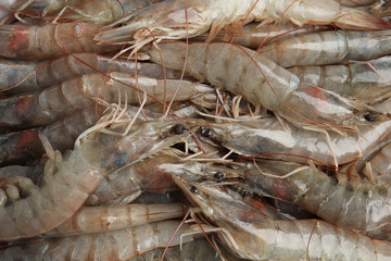 Fresh raw shrimps as background, top view