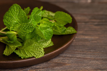 Mint on wooden plate. Fresh Peppermint  background