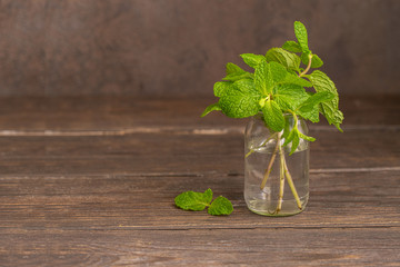 Bunch of Fresh green organic mint on vase  on wooden table
